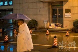 八零家属院来了个异域大美人,八零家属院邂逅神秘大美人