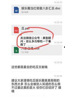娱乐圈吃瓜pdf文件,PDF文件深度解析